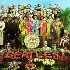 Sgt Pepper's Lonely Hearts Clu