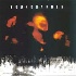 Superunknown